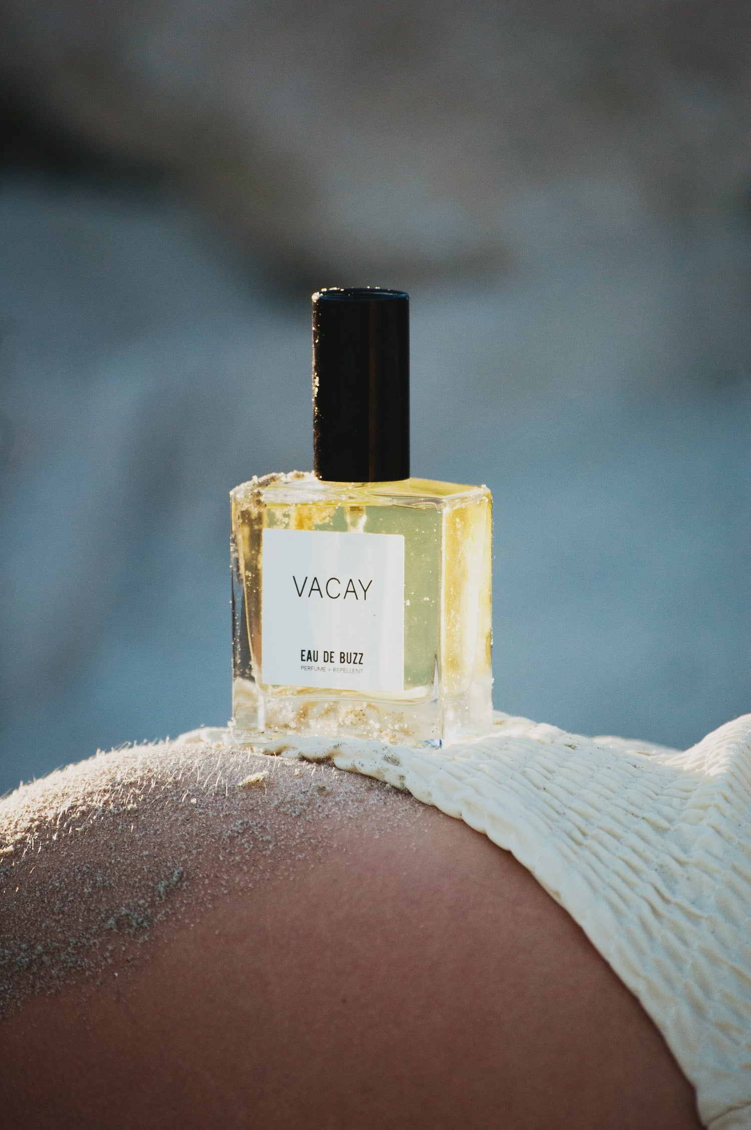 gift giving holiday season